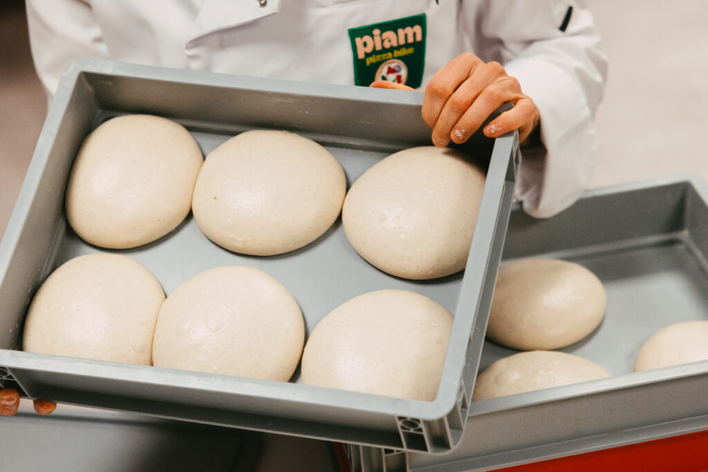 Pâton pizza levain naturek